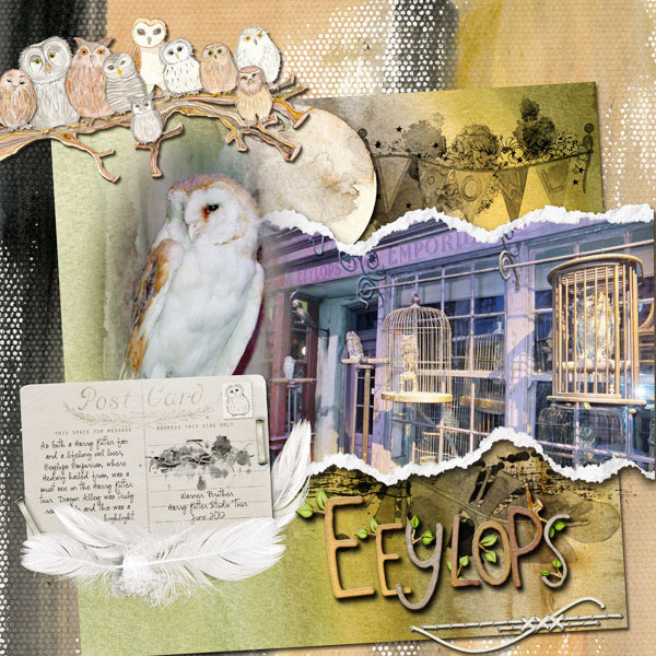 Owl Kingdom Eeylops
