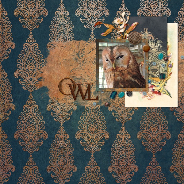 Owl