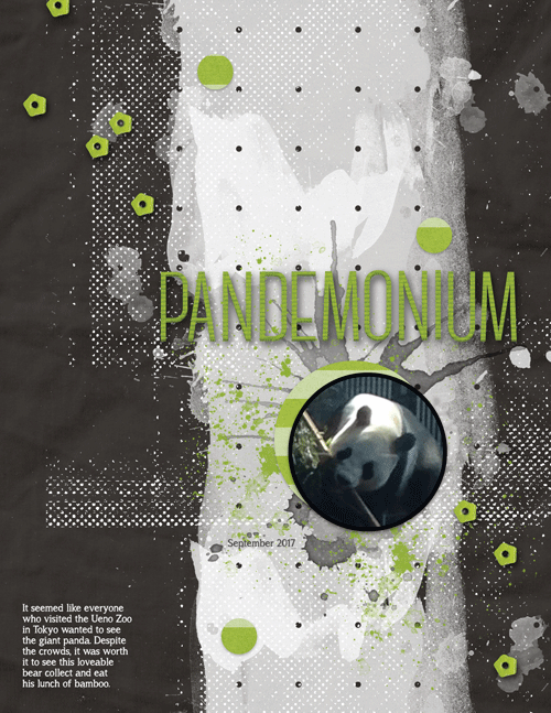 Panda-japan-web