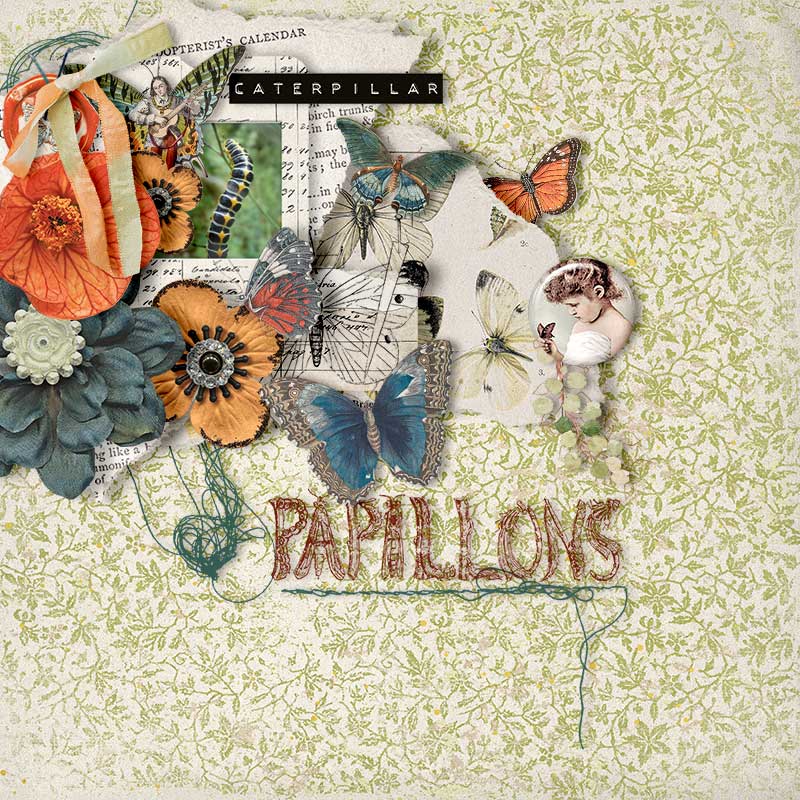 Pappilon