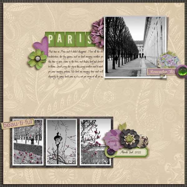 Paris On The Cusp Of Spring