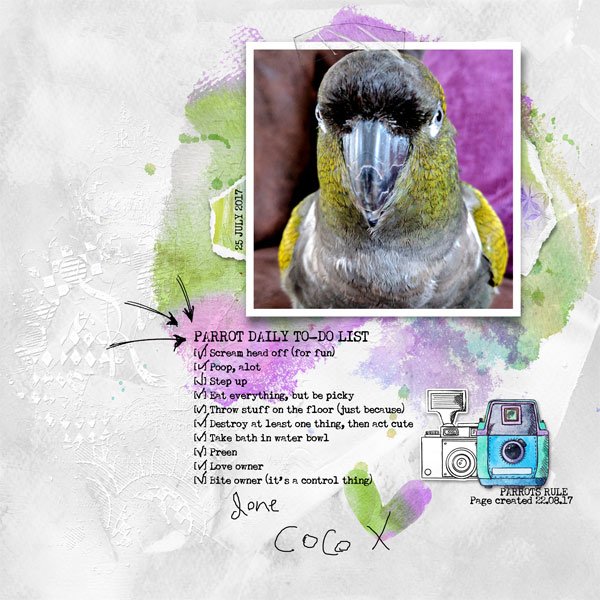 Parrot To-Do List