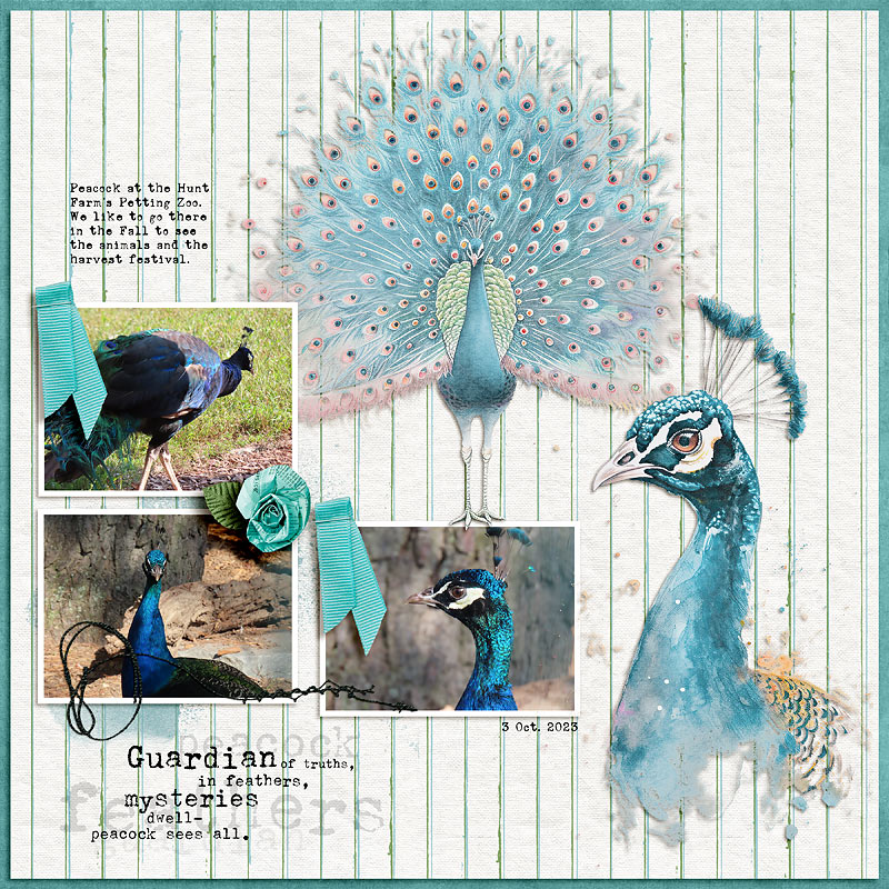 Peacock