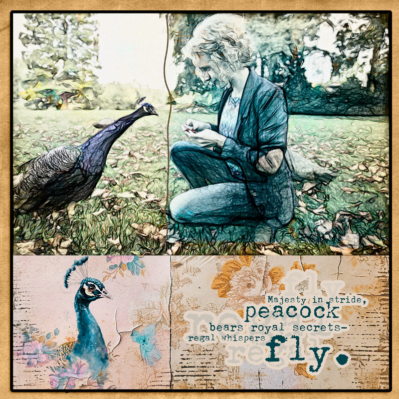 Peacock
