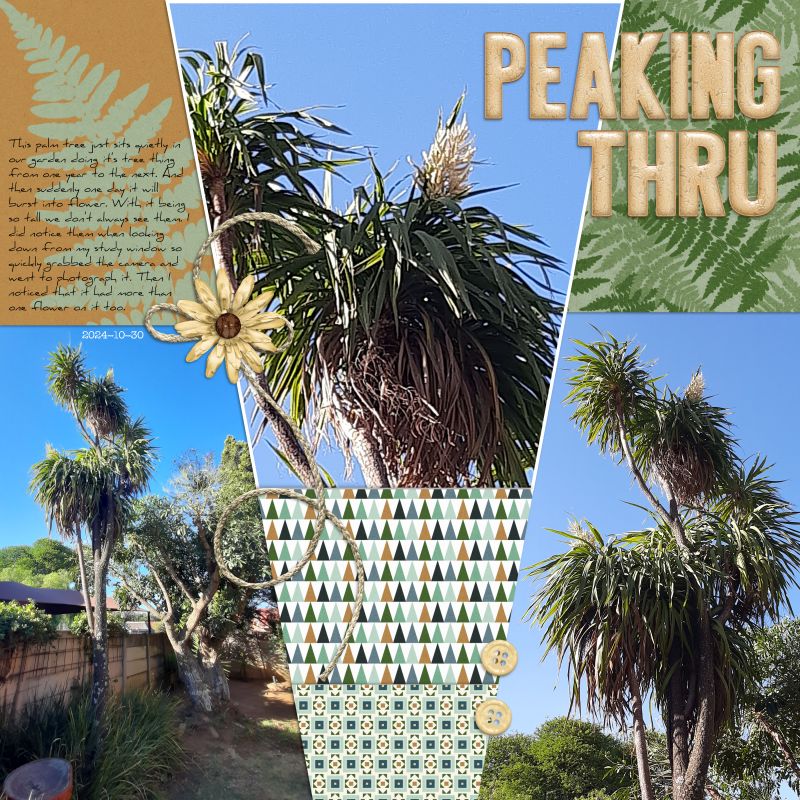 Peaking Thru
