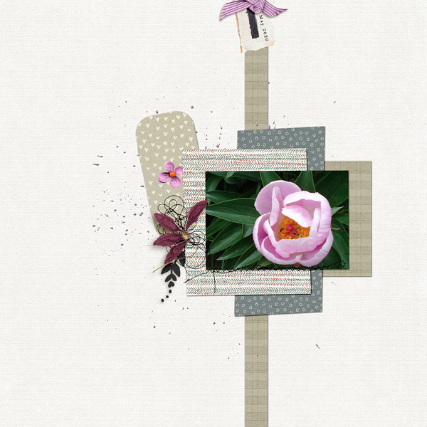 Peonie
