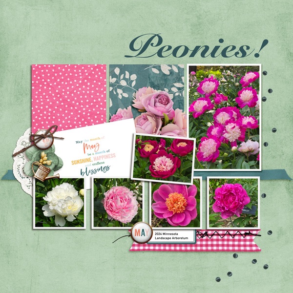 Peonies.jpg