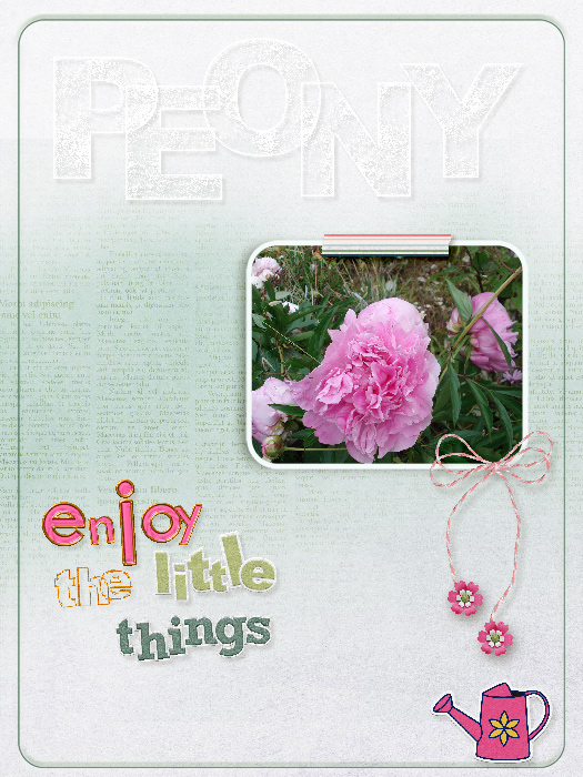 Peony