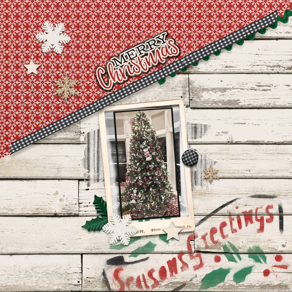 Peppermint tree  MOC7-4