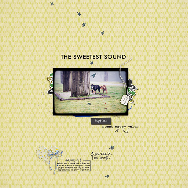 Perfect Sound