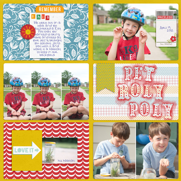 Pet Roly Poly