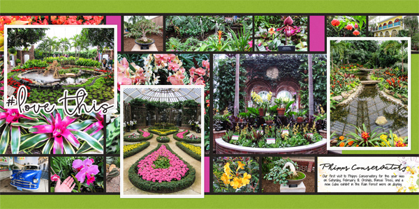 Phipps Conservatory, February 2018