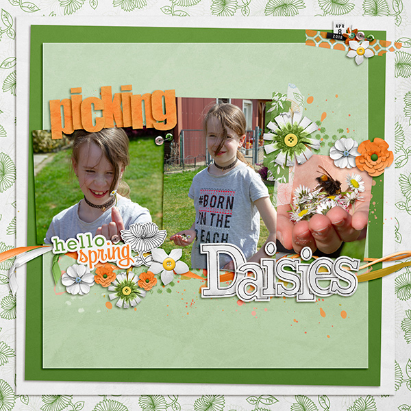 Picking Daisies
