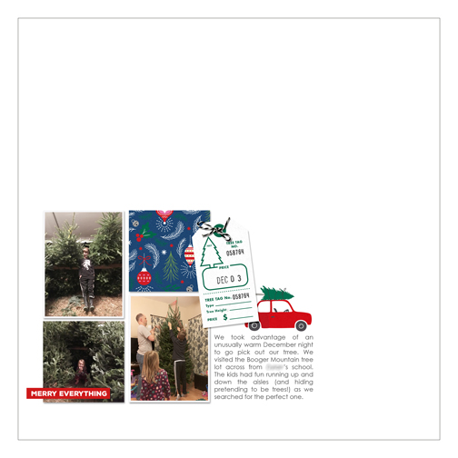 Picking our Tree 2018