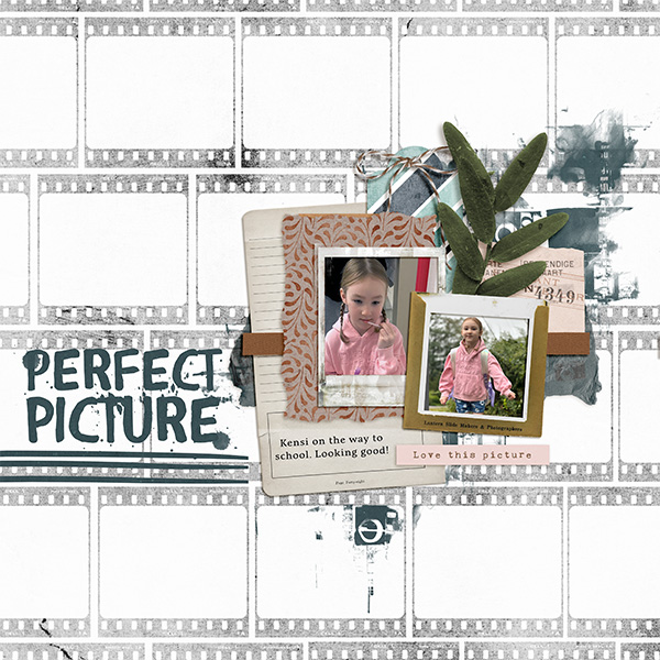 Picture Perfect