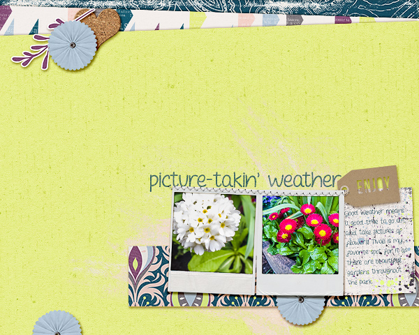 Picture-takin Weather