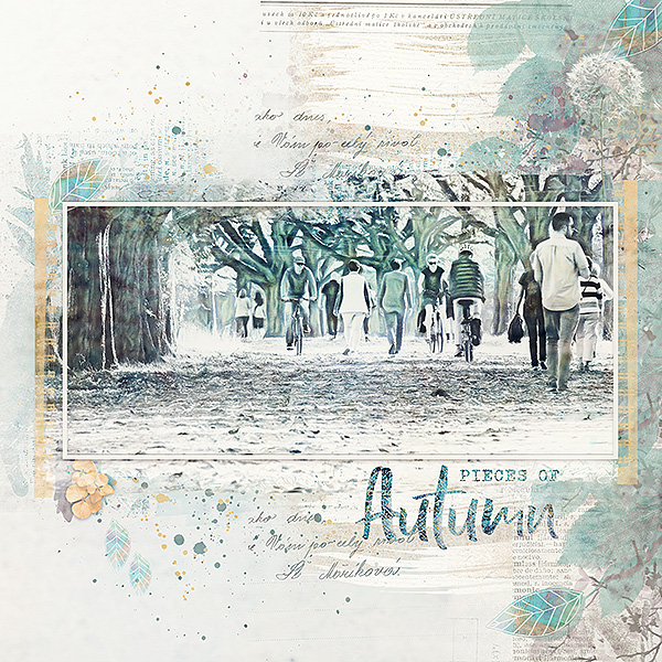 Pieces-of-autumn