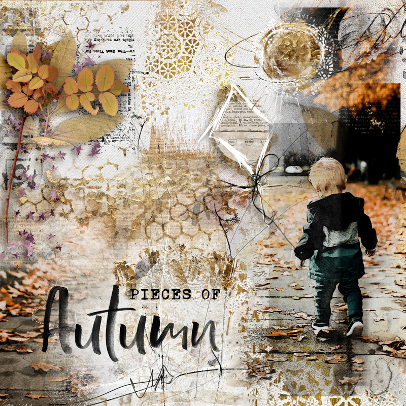 Pieces Of Autumn