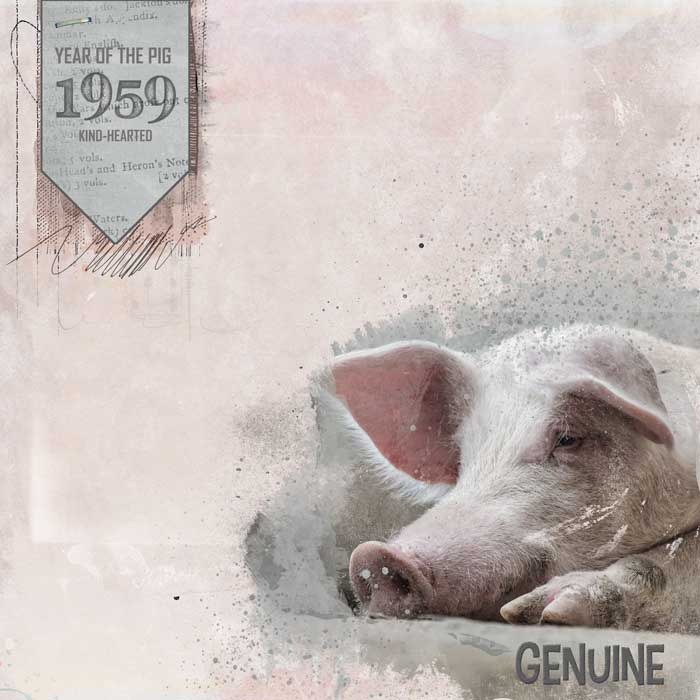 Pig-web
