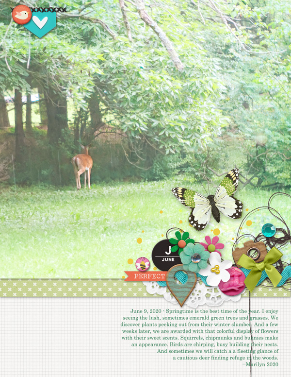 Pink-Reptile-Designs_2020-07_July_SOSN_0708_Captured_web