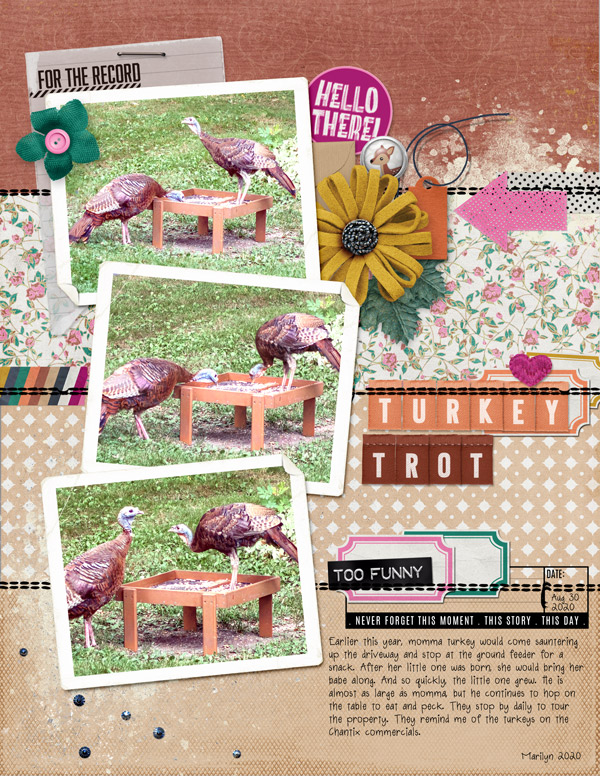 Pink-Reptile-Designs_2020-09_September_SOSN_0923_Awesome-Sauce_web
