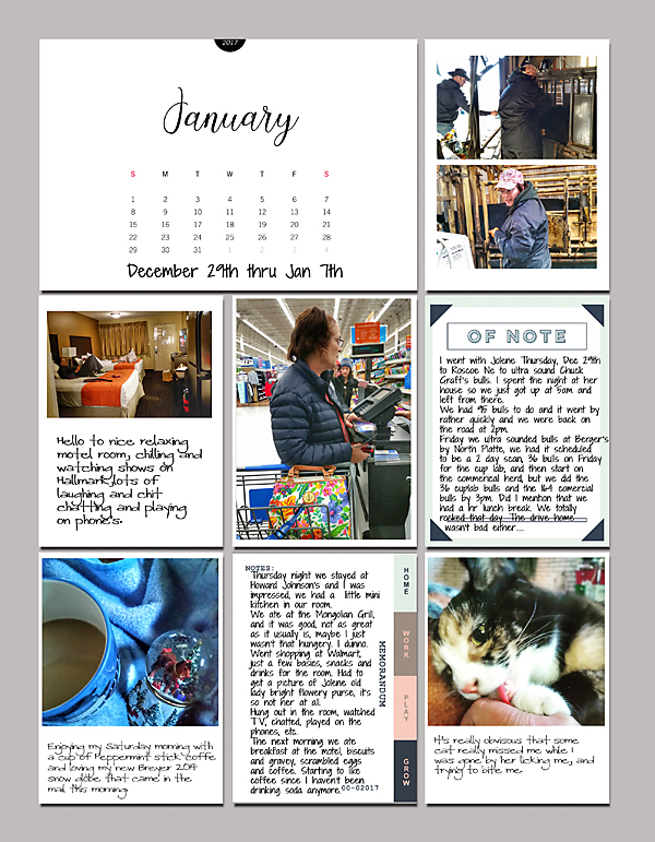 Pl-jan-title-page-2017