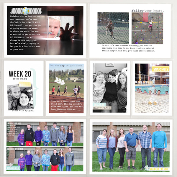 PL2015 - Week 20