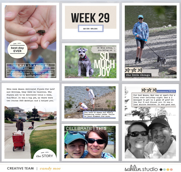 PL2015 - Week 29