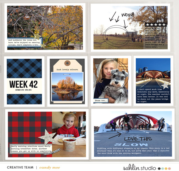 PL2015 - Week 42