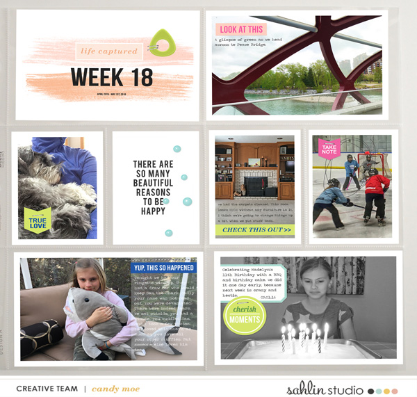 PL2016 - Week 18