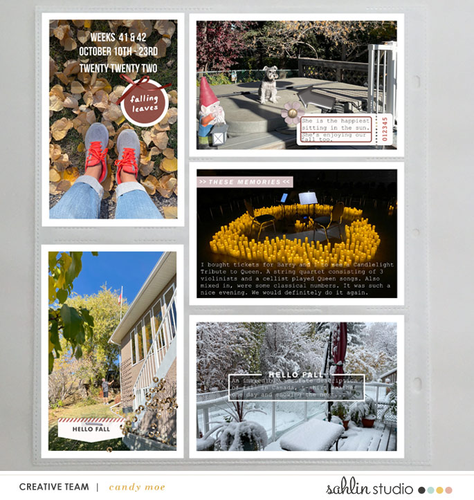 PL2022 - Weeks 41 & 42 | Sahlin Studio