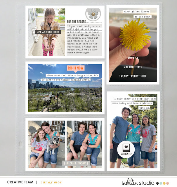 PL2023 - Week 19 | Sahlin Studio