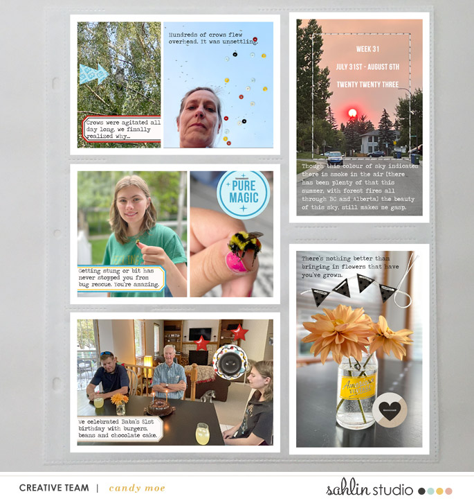 PL2023 - Week 31 | Sahlin Studio