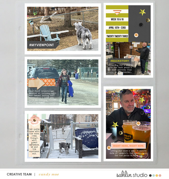 PL2023 - Weeks 15 & 16 | Sahlin Studio