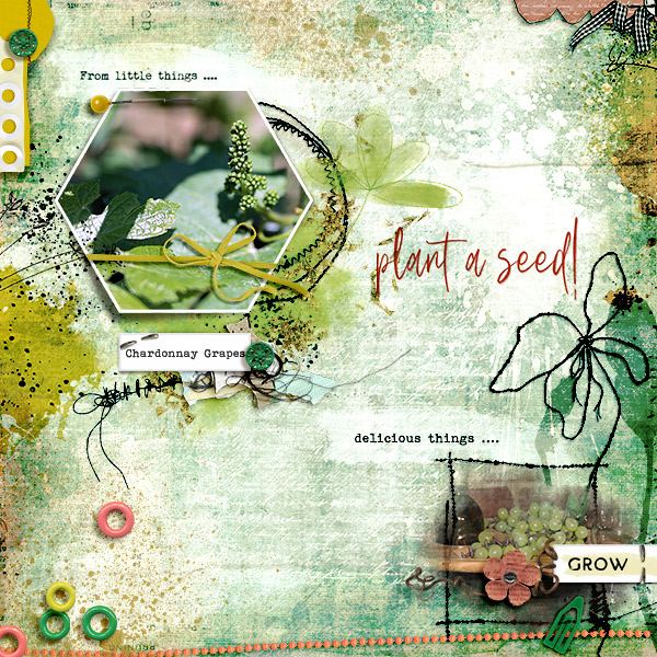 Plant a Seed