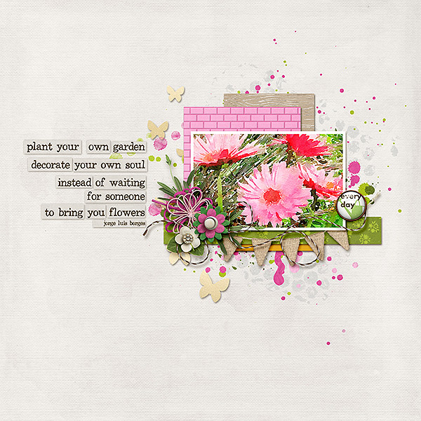 plant your garden