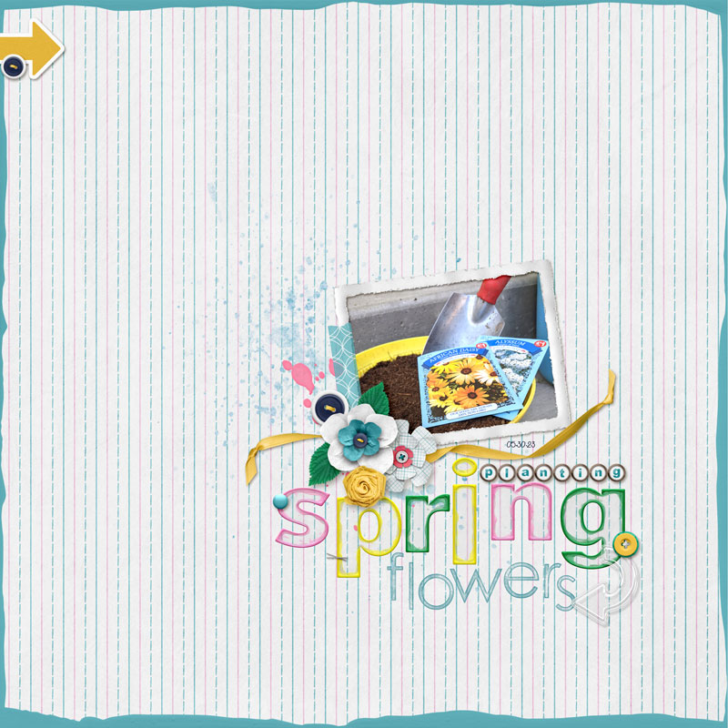 Planting-spring-flowers