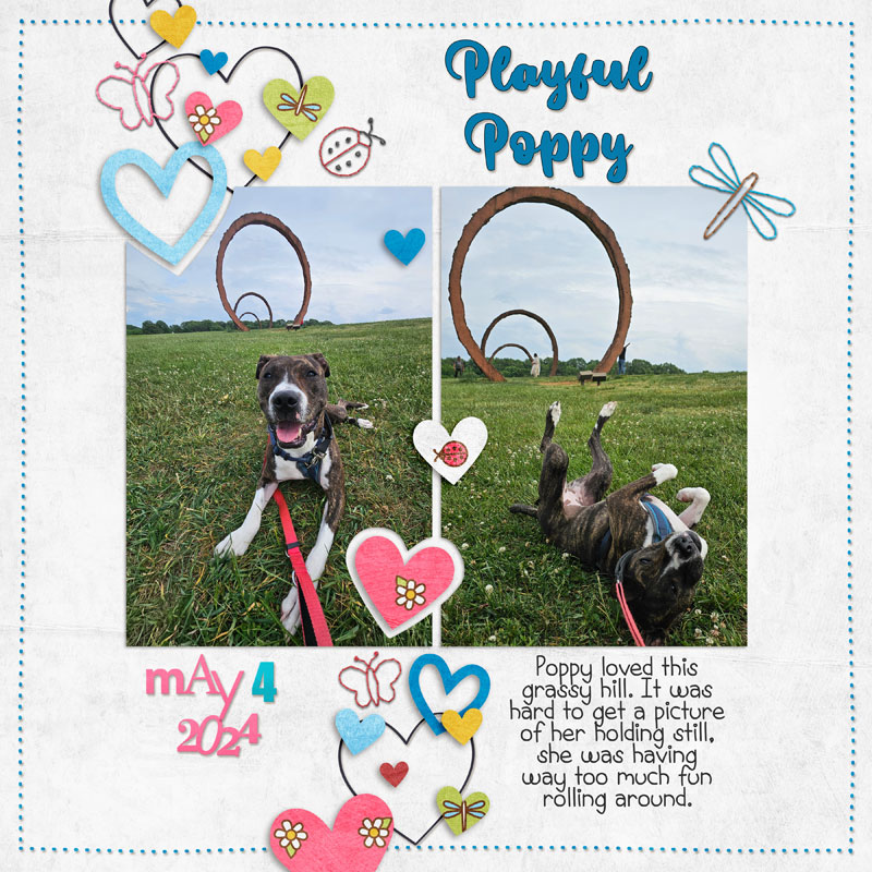 Playful Poppy