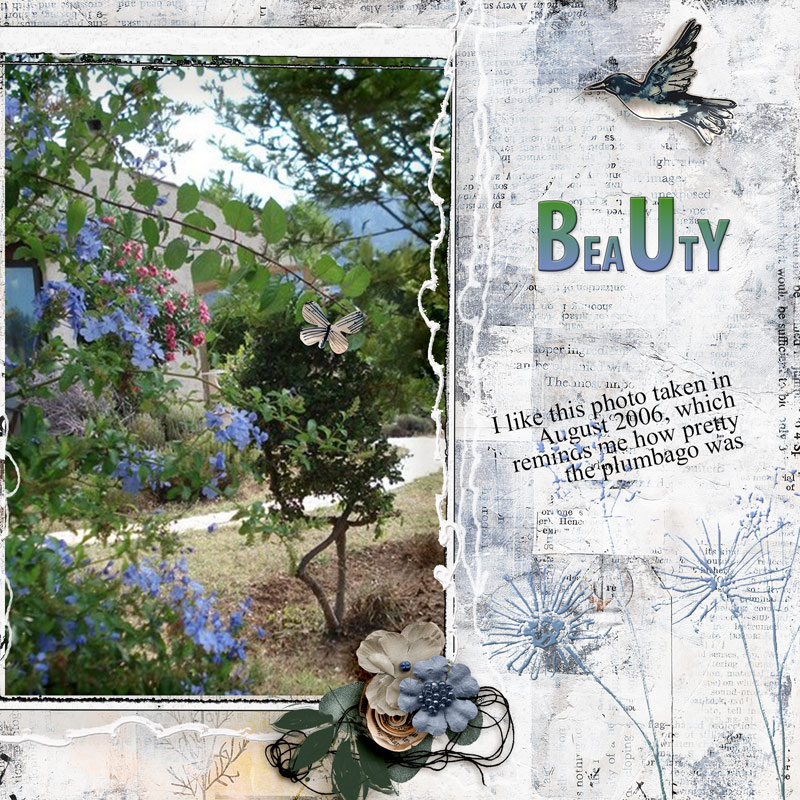 Plumbago