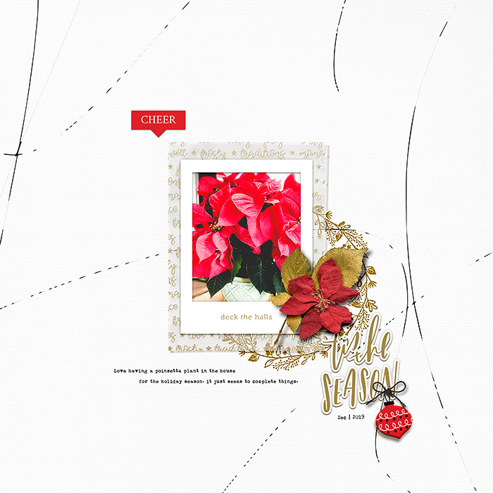 Poinsettia