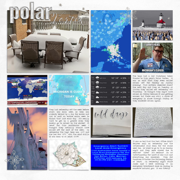 Polar Vortex 2019