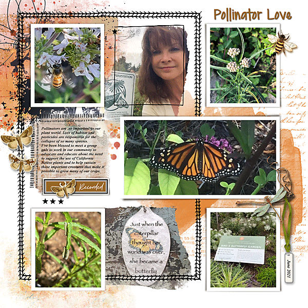 Pollinator Love