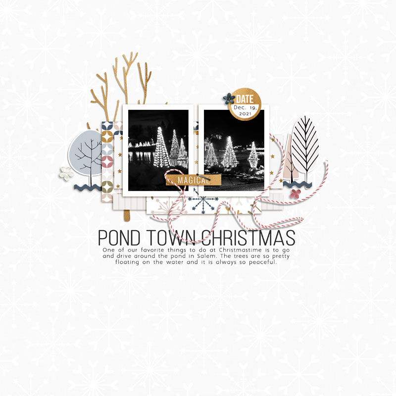 Pond Town Christmas 2021