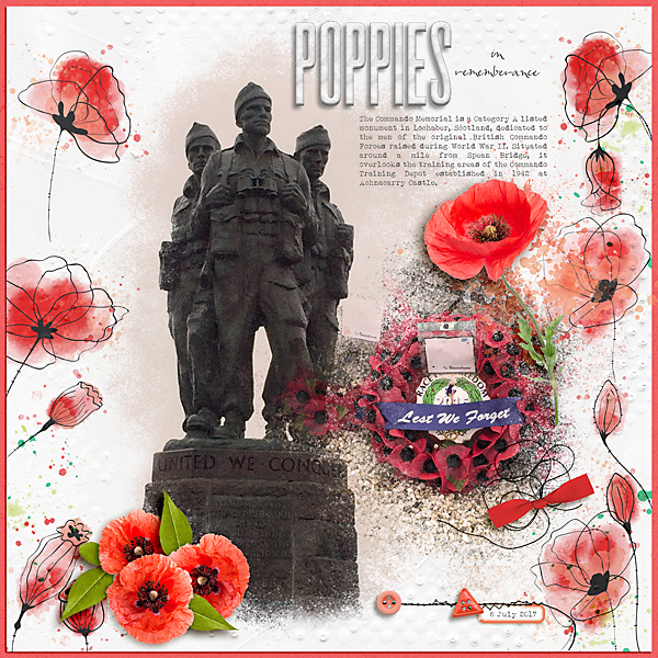Poppies in rememberance