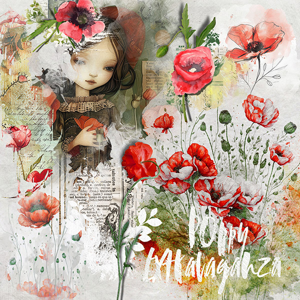 Poppy Extravaganza