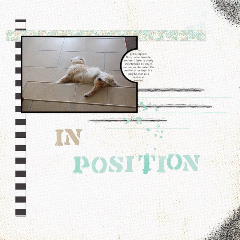 Position