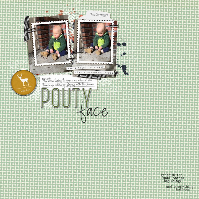 PoutyFaceApril2018RC