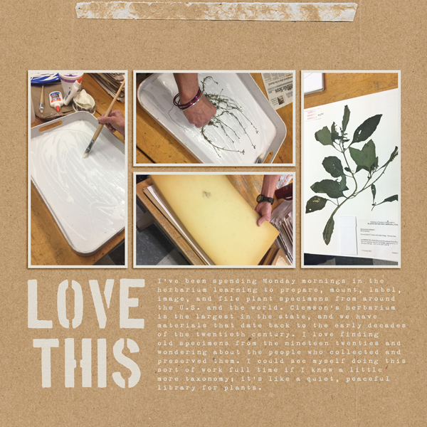 Preparing-specimens