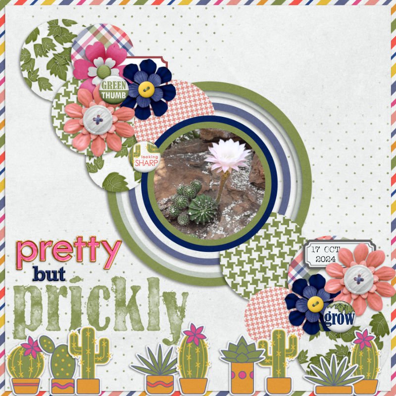 PrettyButPrickly