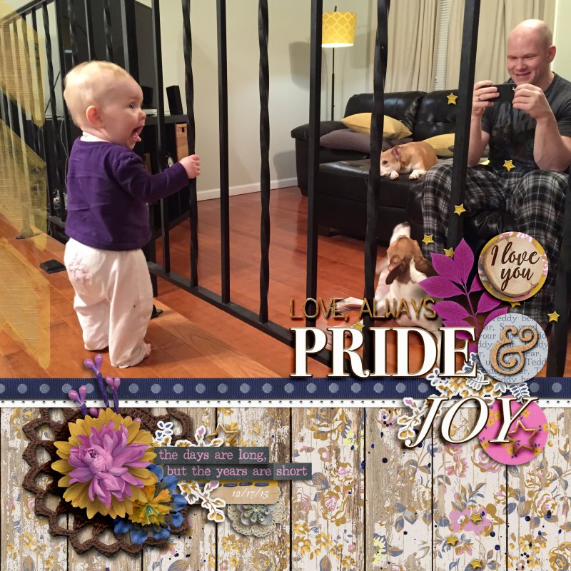Pride and Joy
